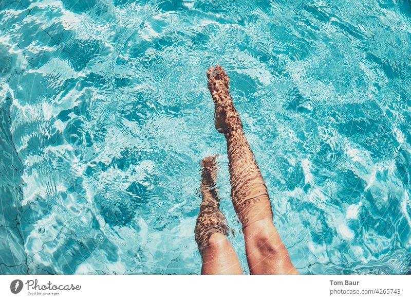 Women legs in the pool plantsch plantsch Women's legs Legs Woman Feminine Athletic Adults Colour photo Youth (Young adults) Young woman 18 - 30 years pretty Sit