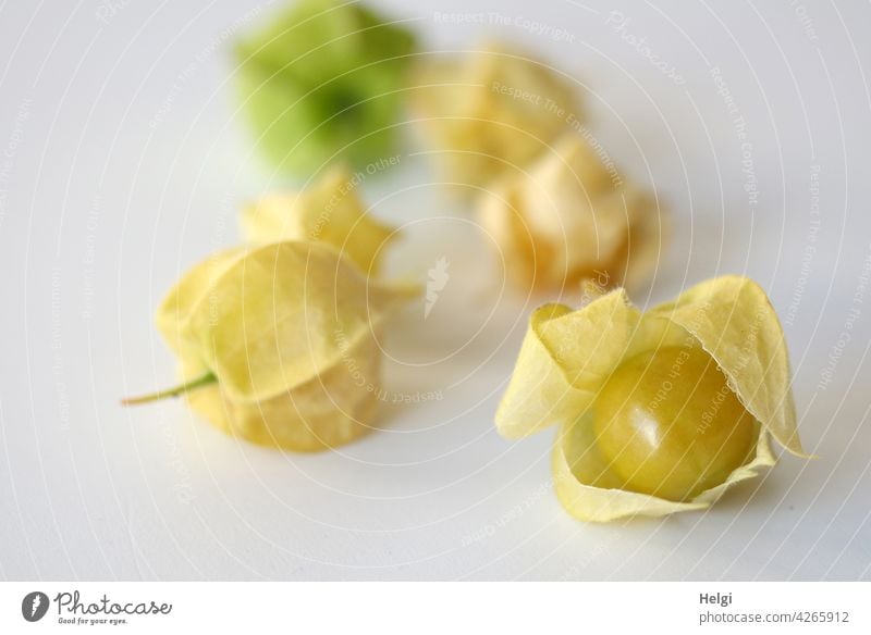 Physalis peruviana or Andean berry peruvial physique Fruit Edible Delicious salubriously Vitamin-rich Mature Garden Food Close-up Healthy Colour photo Fresh