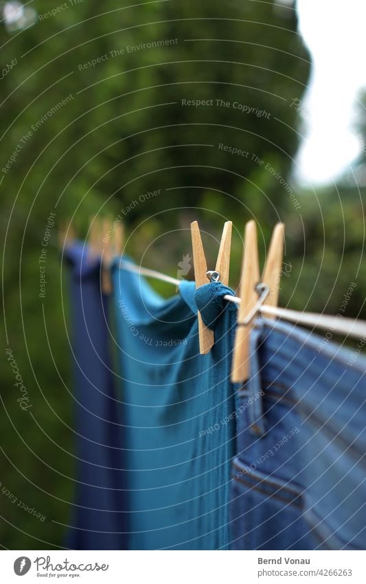 Clothes staple Laundry Holder Clothes peg clothesline Washing day Clean Garden out Exterior shot Fresh Bright Blue Green Wood Dry housework Plant Authentic