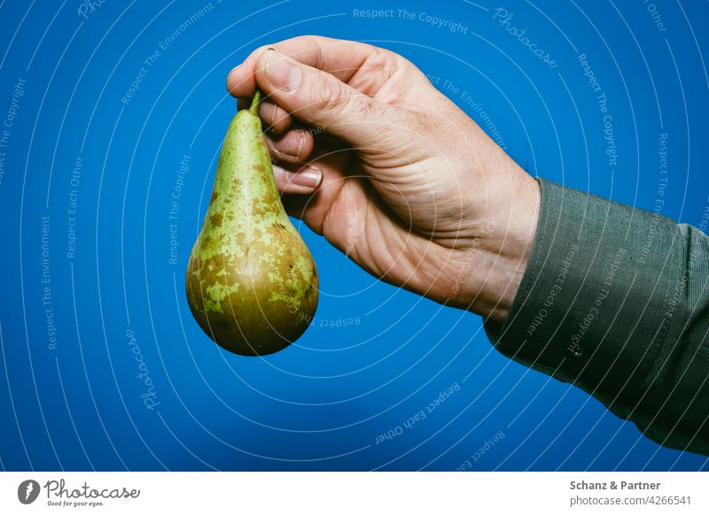 Man hand holding pear against blue background Pear fruit handle Hand plain background Hemb Nutrition shell organic Isolated Image Food Delicious Fruit Healthy