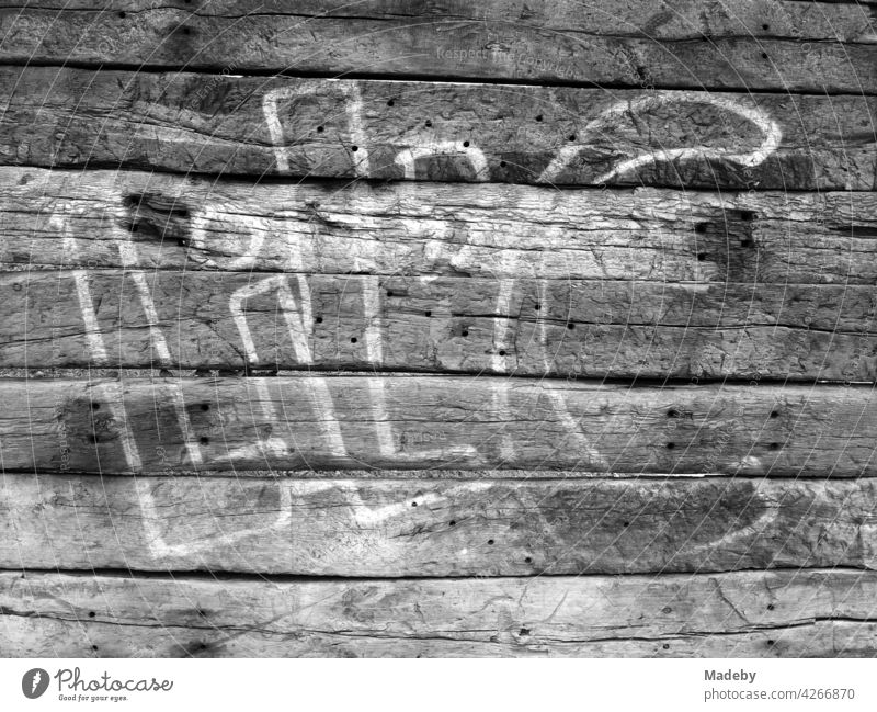 Graffiti with capital letters on a morbid wooden fence at the old inland port in Offenbach am Main in Hesse, photographed in classic black and white writing