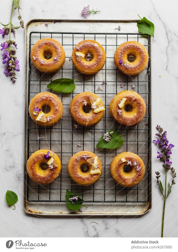 Delicious doughnuts with fresh lemon slices on rack lavender pastry treat sweet aroma delicious deep fried cooling rack row similar organic flower natural