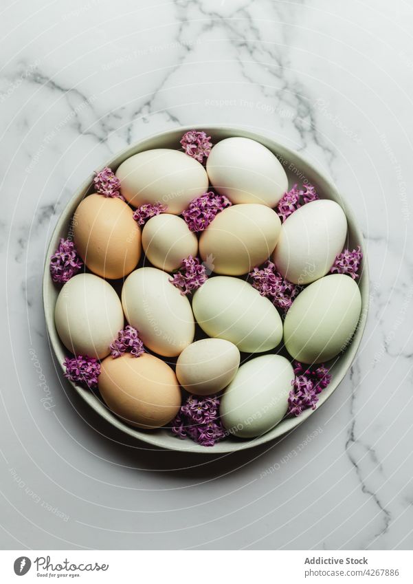 Eggs on plate with blooming lavender flowers egg chicken protein natural organic product raw ingredient aroma fresh plant eggshell scent blossom sprig fragrant