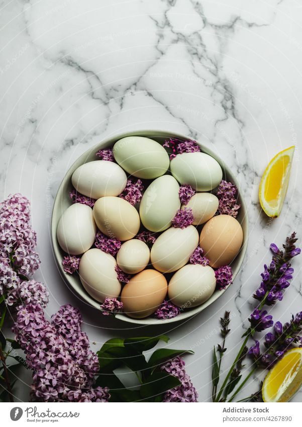 Raw eggs with blossoming lavender flowers on marble surface lemon ingredient fruit natural product raw plate aroma organic fresh plant bloom slice utensil sharp