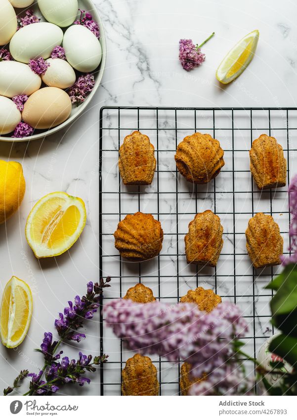 Delicious madeleines near fresh lemon slices and eggs cake treat sweet lavender tasty baked cooling rack aroma small sponge cake yummy row plate flower natural