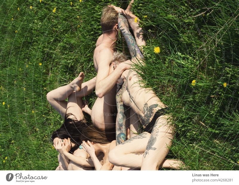 Wild and naked youth are having fun on the green grass. Nude bodies are all over the place but it seems so natural. Pure joy and freedom are going through their veins.