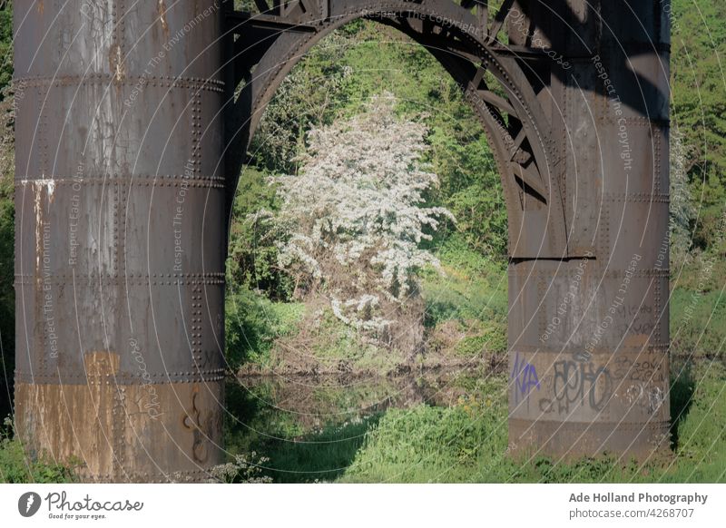 Frame within a frame through the legs of a long abandoned railway bridge river graffitti old abandoned building Abandoned Vacation & Travel Wide angle Transport