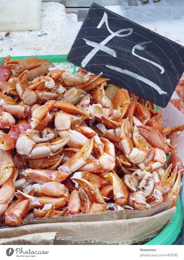 Crayfish scissors 7,-€ Shrimp Nutrition Fresh Shellfish Markets