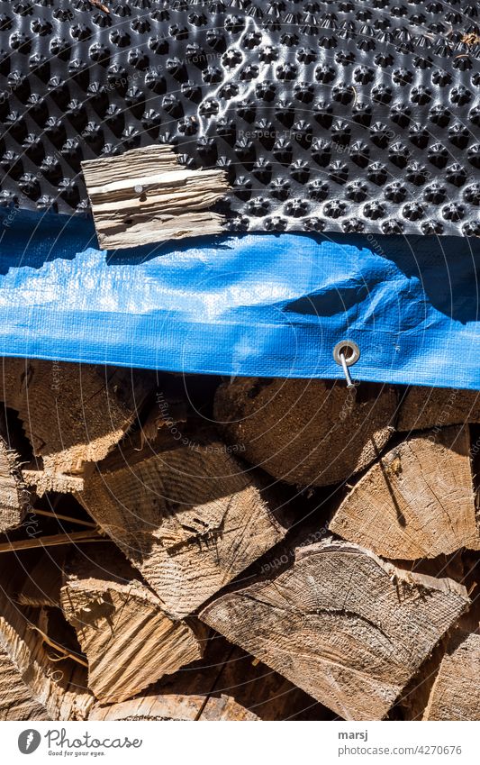 Bubble wrap and tarpaulin protection. Everything to protect the firewood. Stack of wood Wood Firewood Supply Logging Timber Covers (Construction) Sustainability