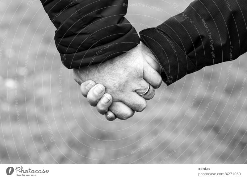 Without distance - holding hands in black and white Hand hold hands Love Couple Relationship Emotions in common Affection Infatuation Lovers Harmonious Romance
