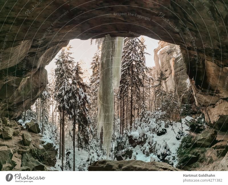 Winter photo of the Gautschgrotte near Hohnstein in the Saxon Switzerland National Park. View out of the grotto onto a large icicle. mountains trees Ice Icicle