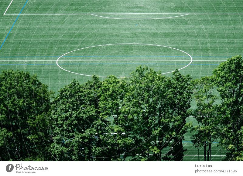 green from above, a deserted football field. In front of it old trees, above all sunshine Green Direct lines Foot ball soccer field Lawn Sporting grounds Bright