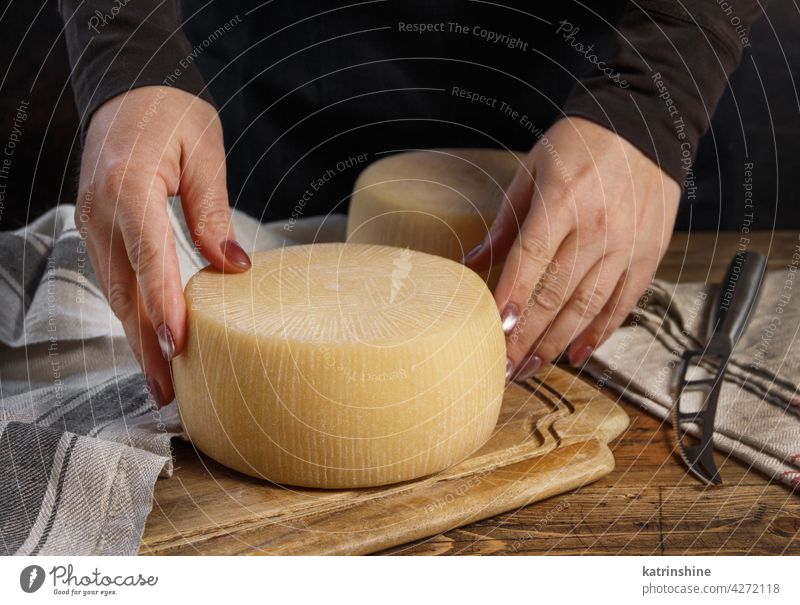 Somebody hands put a wheel of  fresh homemade cheese on a wooden board close up Piece Italian faceless woman napkin brown knife yellow n rustic Head Traditional