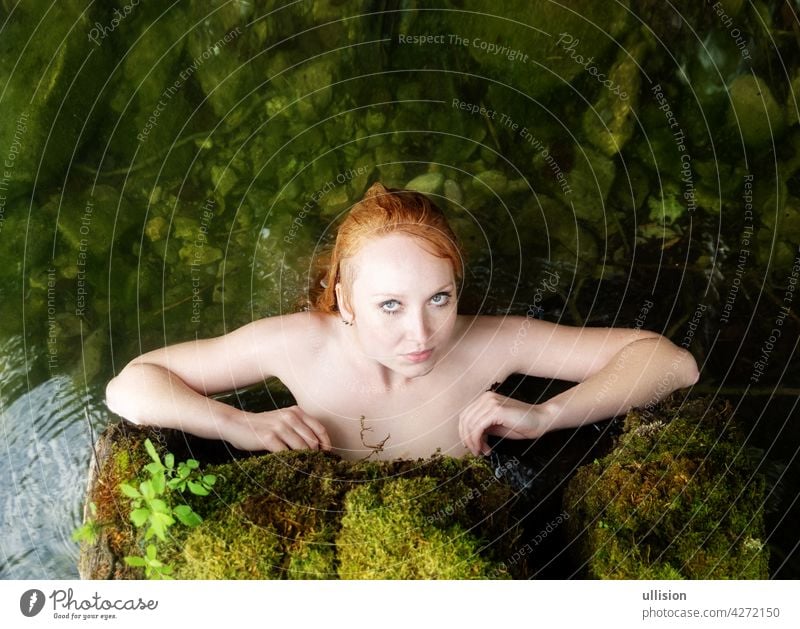 sensual young sexy redheaded mermaid is stuck in a hollowed out tree trunk sensitively seductive with pink water lilies in water, lake, pond woman red hair