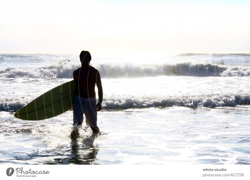 Riding the wave of life Lifestyle Swimming & Bathing Summer Summer vacation Sun Sunbathing Beach Ocean Waves Aquatics Surfing Surfer Surfboard