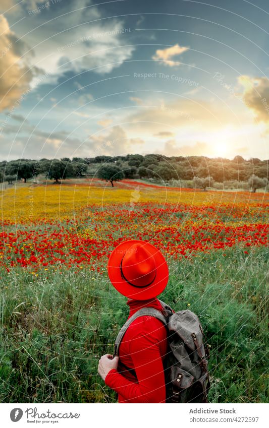 Faceless man in yellow hat standing in blooming field style freedom countryside backpack blossom nature carefree peaceful backpacker casual lifestyle meadow