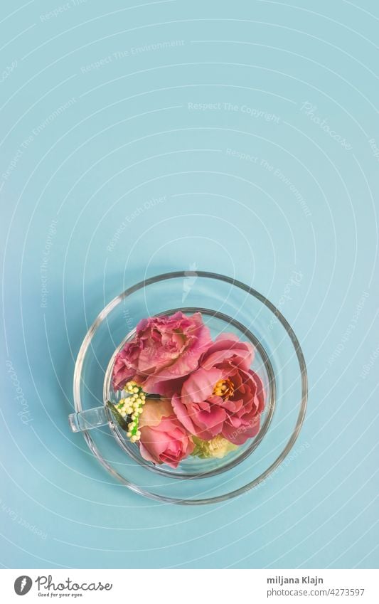 Top view of a transparent glass cup full of flowers; spring background with copy space ad aesthetic anniversary aromatherapy art artsy blue cafe coffee cup