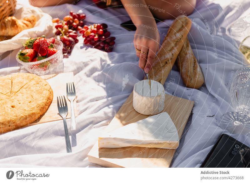 Woman cutting cheese on wooden board for picnic woman brie camembert knife italian food delectable female delicious tasty slice nutrition bread berry vitamin