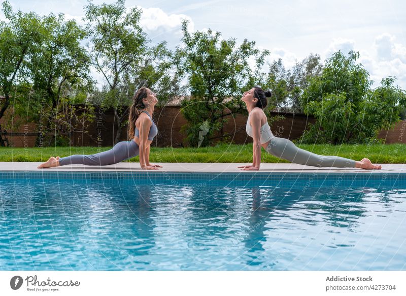 Girlfriends practicing yoga in Cobra pose on poolside women girlfriend greeting healthy lifestyle wellbeing energy vitality lawn smile bhujangasana enjoy