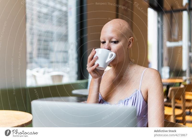 Hairless woman working remotely on netbook and drinking coffee cup laptop telework hairless cafeteria modern self employed chair female alopecia hair loss young