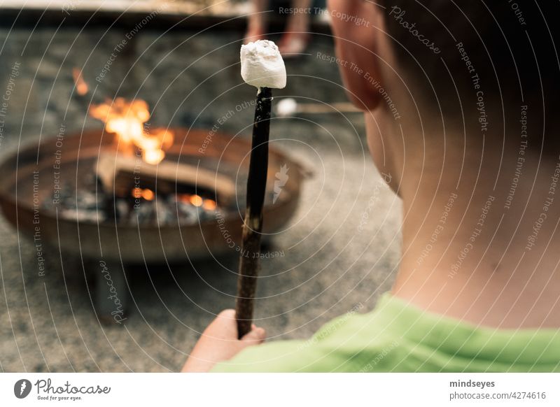 Boy roasting marshmallows over fire out campfire fire bowl Fire Fireplace Warmth Wood Flame Burn Hot BBQ Infancy Delicious tidbit sweets fun Joy Summer Embers