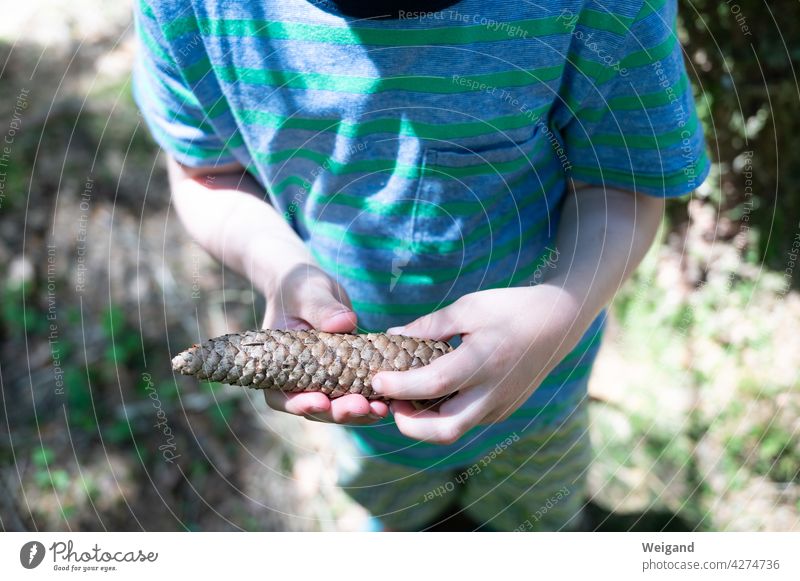 Child with pine cone in hand Forest To go for a walk Family Toddler Kindergarten Fir cone Cone search Autumn Summer Nature experiential education pedagogy