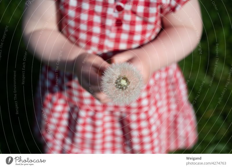 Child with dandelion as a gift in hand Mother's Day Thank you. I'll take care of it. Grateful Toddler Summer Pustule Gift Nature Red Spring Birthday Baptism