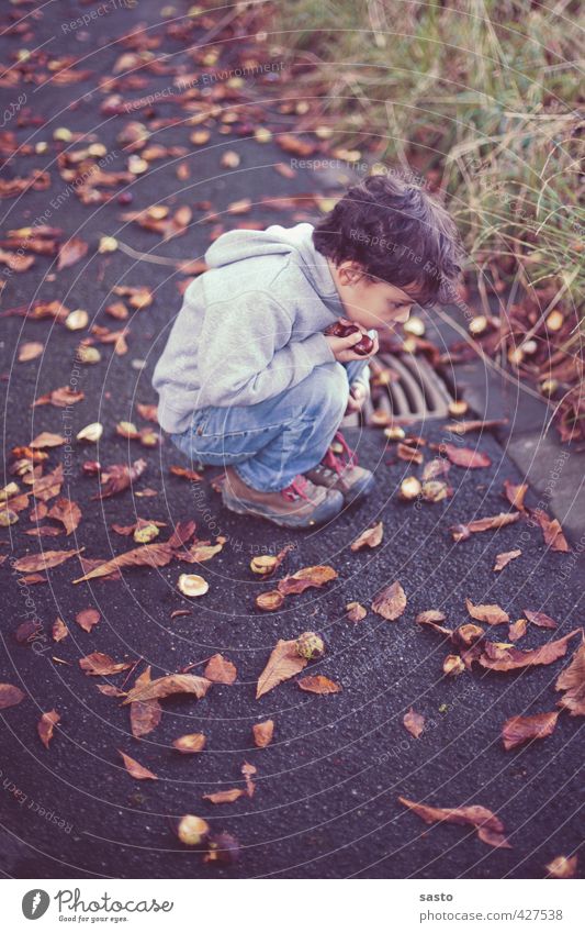 take a close look Masculine Child Boy (child) Infancy Life 1 Human being 3 - 8 years Environment Nature Autumn Collector's item Crouch Looking Curiosity