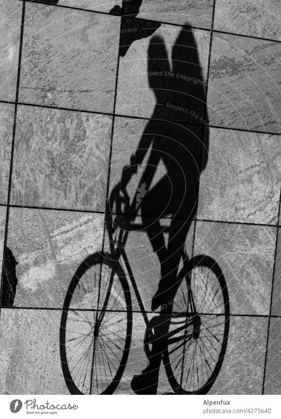 Upside Down | Radler cyclist Shadow Shadow play Light Cycling Bicycle Leisure and hobbies Exterior shot Movement Cycling tour Driving Lanes & trails Trip Wheel