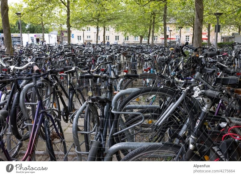 Residents' parking Bicycle Cycling Town Means of transport Transport Driving Exterior shot Parking lot Cycling tour Cycle path Search for a parking space