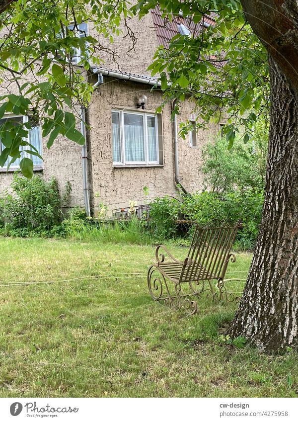 A cookie under a tree - a shady place Tree Oak tree Garden Rocking chair To swing Cozy idyllically Nature Colour photo Exterior shot Day Plant Deserted Green