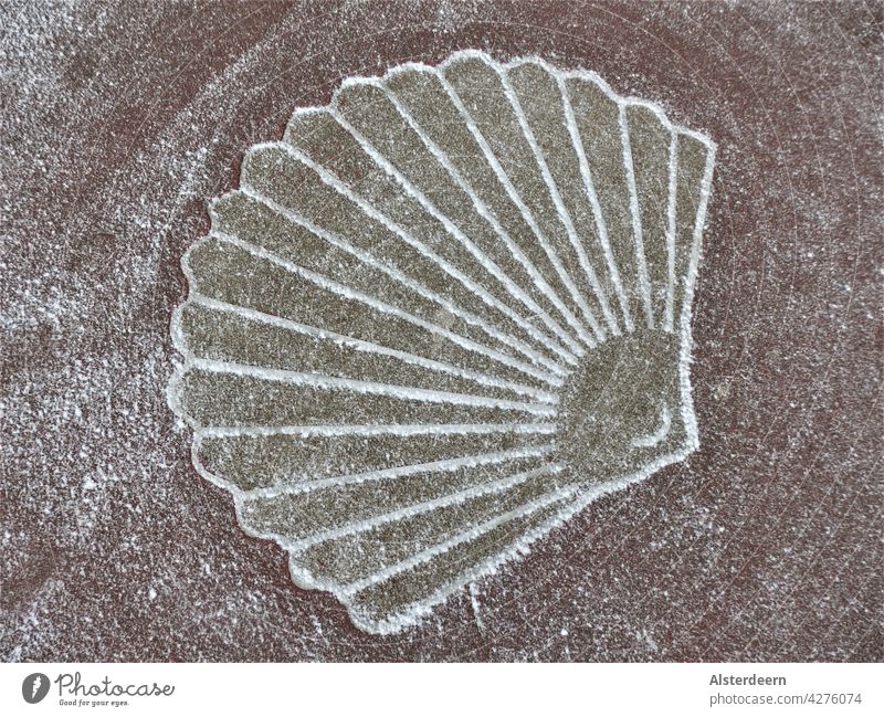 Symbol of a scallop shell in the asphalt on the path on the coast in winter lightly powdered with snow Mussel Fan shell Scallop Stencil outline Stone Ocean
