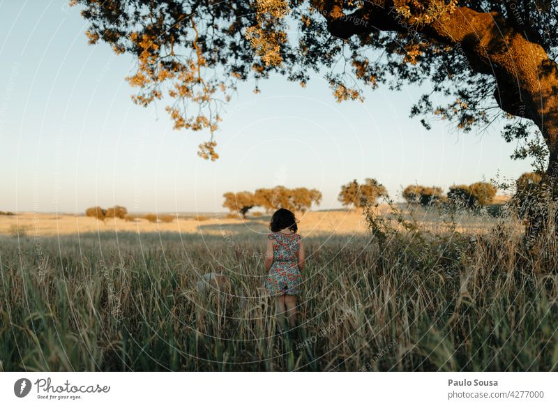 Rear view child playing with dog Child Field Girl Dog Pet Nature Walking Happy Playing Human being Together Joy 1 Colour photo Exterior shot Animal Summer Woman