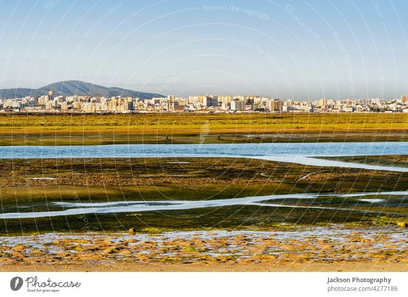 City of Faro seen from Faro Beach Peninsula with wetlands of Ria Formosa in the foreground, Algarve, Portugal faro ria formosa portugal algarve nature skyline
