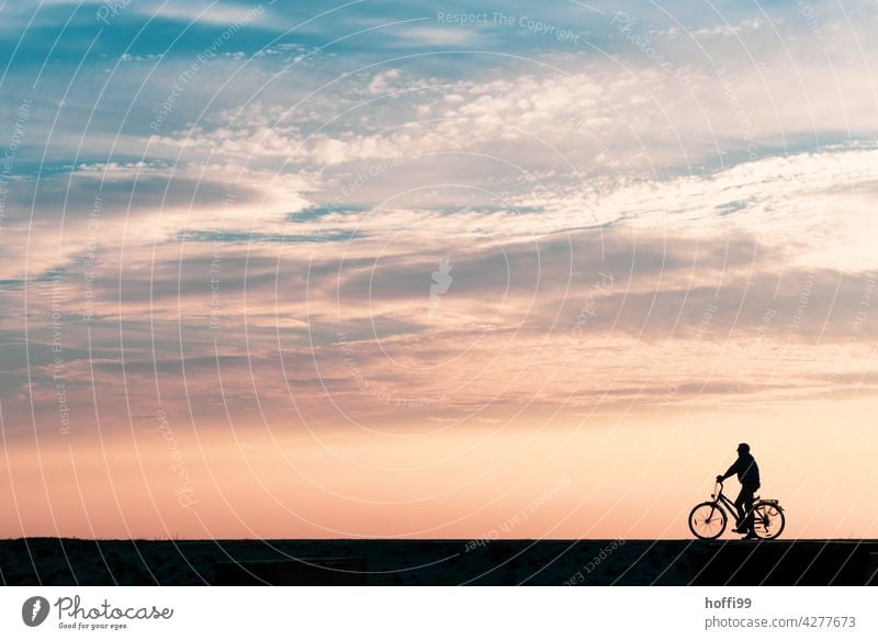 a man waits in the evening sun on his bicycle at the dyke Dike Sunset Summer vacation Island Wait one person Sunset sky Bicycle Beach minimalism Noth Lake