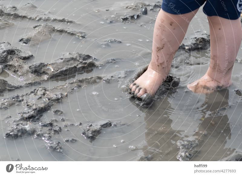 Children's feet in the mud at low tide in the mudflats Children's Feet Slick watt Walk along the tideland Sludgy slush Water Wet Dirty Mud Puddle Legs Low tide