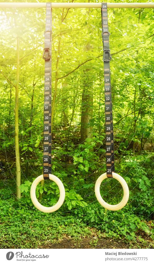 Gymnastic rings with numbered straps hanging in a park. gymnastic calisthenic sport outdoors training bar exercise fitness activity lifestyle nobody health