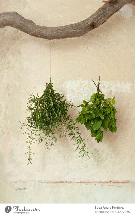 herbs Herbs and spices Rosemary Mint peppermint Branch Kitchen kitchen herbs Hang up Dry Unplastered Healthy Healthy Eating healthy lifestyle naturally