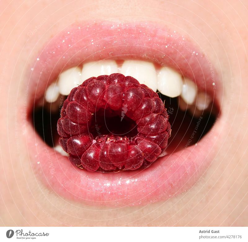 A red fresh raspberry in the mouth of a young woman Mouth Lips Woman Teeth Face fruit Fruit Red Lipstick fruits pretty Delicious salubriously Eating Costs Fresh