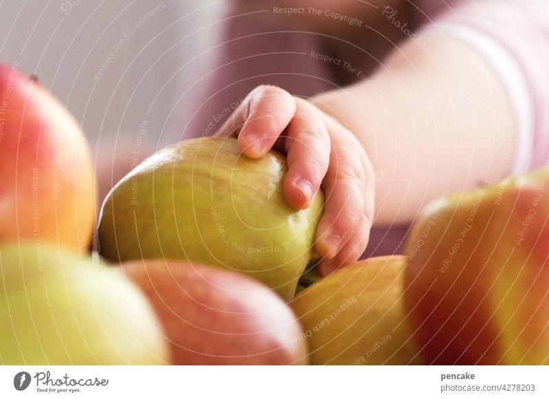 grün, gelb, rot | reifeprüfung Frucht Apfel Reife Entwicklung Kinderhand greifen essen Obst