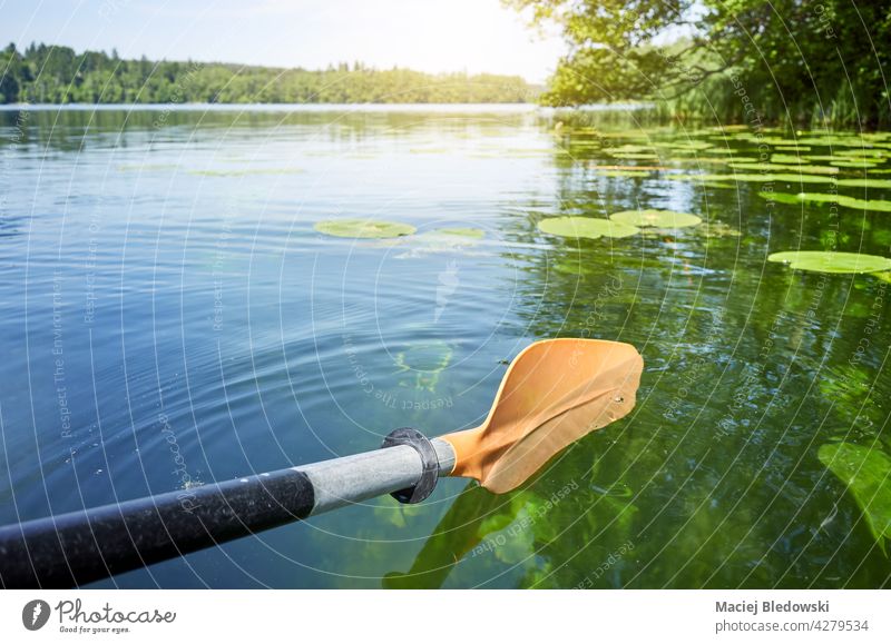 Kayak paddle in the water, selective focus. kayak sport nature canoe adventure lake river activity summer vacation oar equipment leisure journey recreation