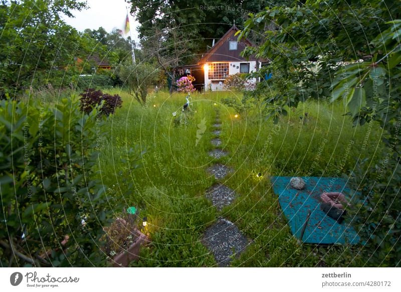 Garden in the evening Evening Branch Tree Dark Twilight Relaxation holidays Sky allotment Garden allotments bud Deserted Night Nature Plant tranquillity