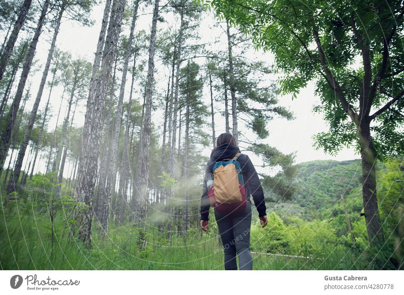 Woman from behind with backpack, walking and exploring a forest. Forest Nature Green Tree Leaf Adventure Adventurer explorer exploration travel turistic hiker