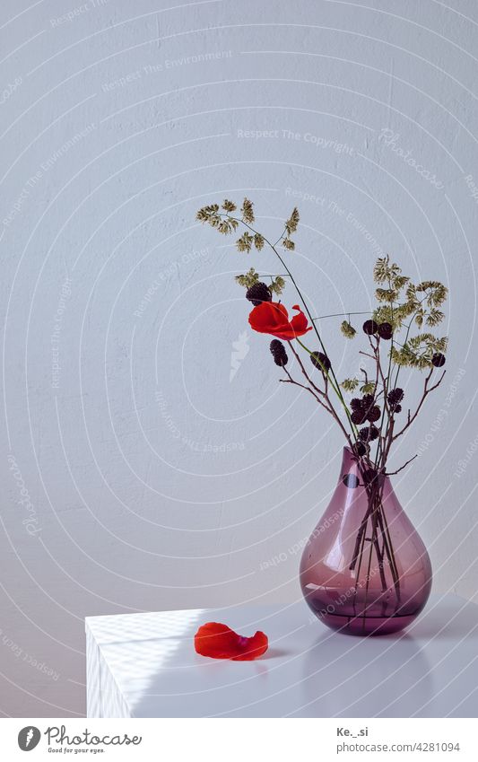 Poppy flower with grasses and cones in purple glass vase Eye-catcher Individual Love of nature moody detail Beauty in nature Beauty & Beauty Pattern Flower