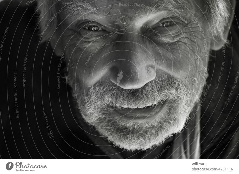 Portrait of a bearded man with life experience portrait Man eye contact Looking into the camera Direct narrators Communicate tell To talk Impish Smiling