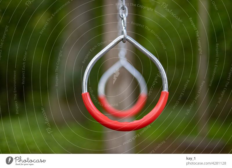 Rings on trim trail in the forest Sports Athletic Sportiness Sports Training Sporting Complex Fitness workout Healthy Strong Athlete Force Sports equipment