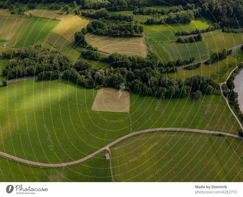 Bird's eye drone shot of fields and a small forest in the evening Field Forest Edge of the forest Aerial photograph Bird's-eye view Landscape Colour photo