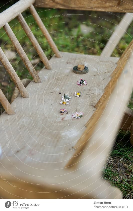 Roller cart with daisies Handcart Daisy Wood Children's game flower child Flower Toys Nursery rhyme Nostalgia Extra Public Holiday blurriness meetings