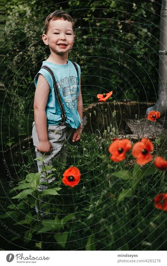 Boy with braces stands in poppies flowers Boy (child) Infancy Nature Garden Summer Blossom Poppy poppy flower Exterior shot Poppy blossom boys Brash rascals out