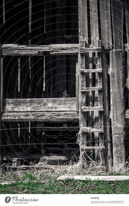 Short, rustic and old ascent (wooden ladder) secured with barbed wire. Hut Texture of wood Rustic ancient Solid contemporary history Loneliness idyllically
